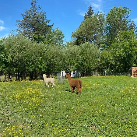 Sejour Confort Et Nature Lägenhet