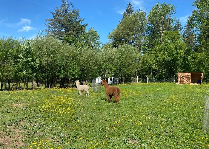 Sejour Confort Et Nature Lägenhet