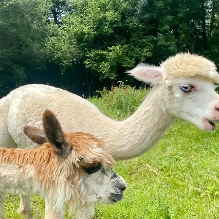 Apartment Sejour Confort Et Nature *