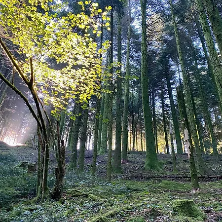 Confort Et Nature Appartamento