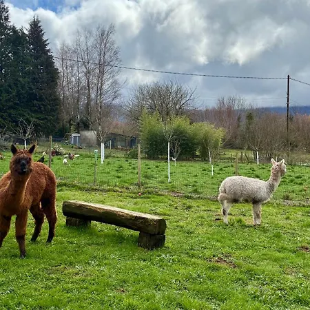 Sejour Confort Et Nature Saint-Amans-Valtoret