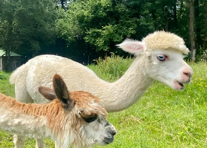 아파트 Sejour Confort Et Nature *