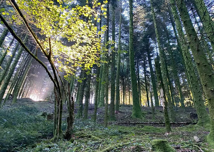 Sejour Confort Et Nature 아파트