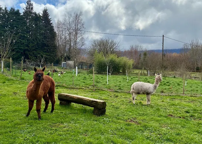 Sejour Confort Et Nature Saint-Amans-Valtoret